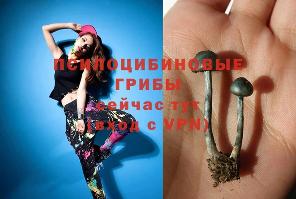 MDMA Premium VHQ Армянск